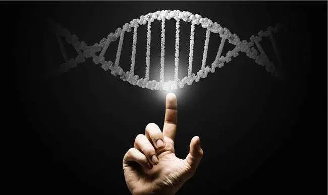 深圳未来发展能成为中国企业吗,深圳未来发展的新力量