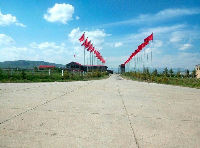 青海湖湟鱼洄游古诗词,青海湖湟鱼为什么洄游