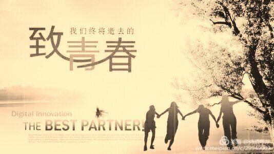 是花一样会绽放是哪首歌的歌词,有些相遇注定会像花一样绽放