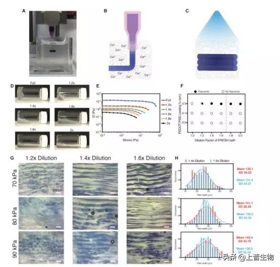 ACSAMI|UCLAAnnabi教授课题组悬浮打印高生物活性导电水凝胶