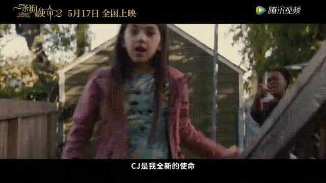 狗狗的第二次重生怎样取名字,狗狗轮回的一生