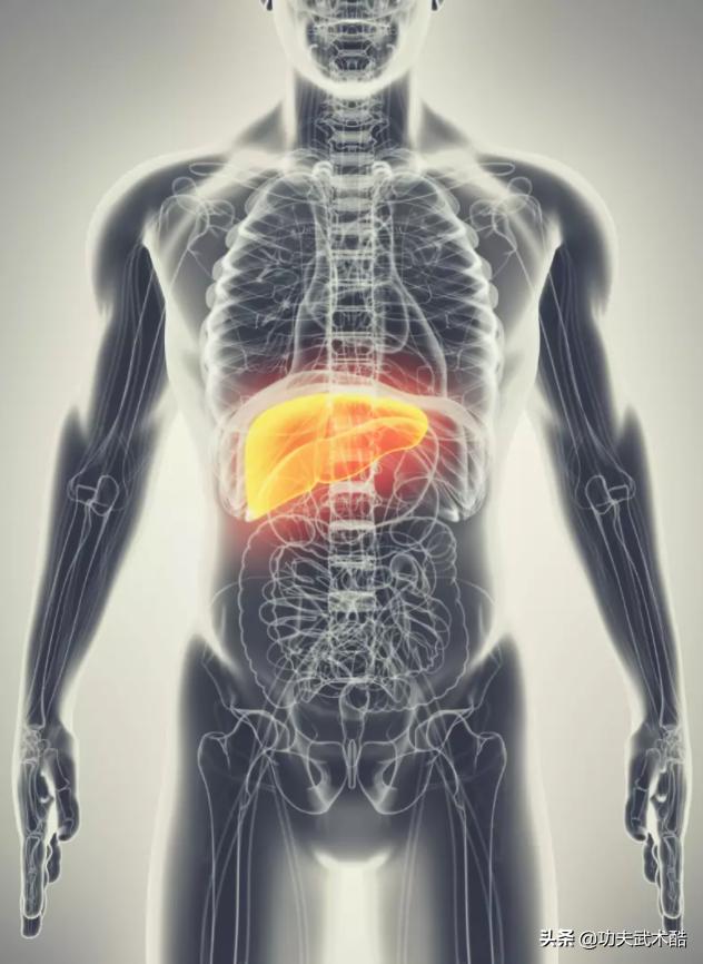 拳击格斗对身体的危害,搏击如何克服实战恐惧