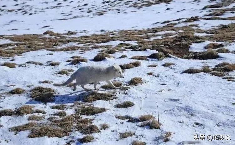 山西五台山是个什么样的地方,五台山坐落于山西吗