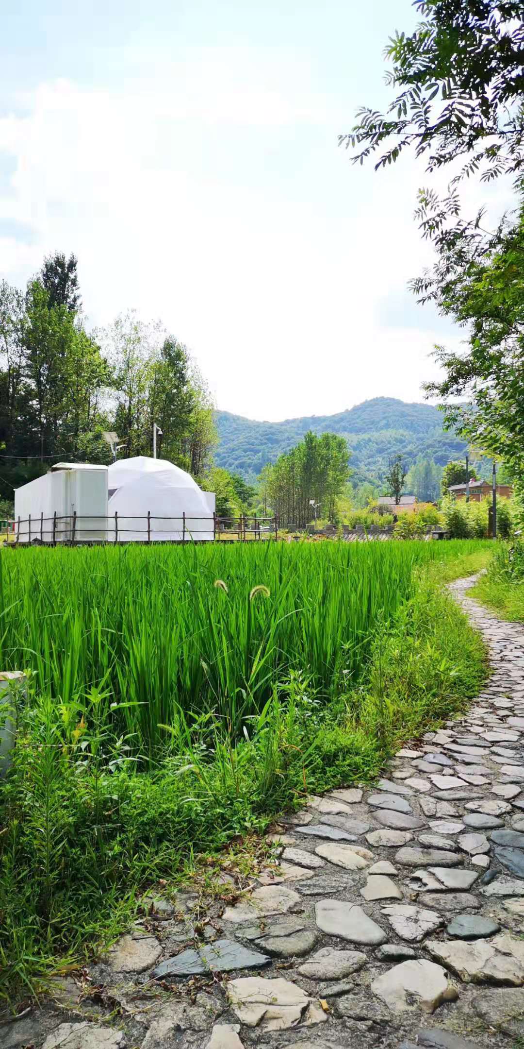 新县西河湾住宿推荐,西河湾星空帐篷酒店