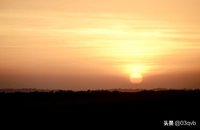 鏈涙棤杈归檯鐨勬捣,鏈涙棤杈归檯