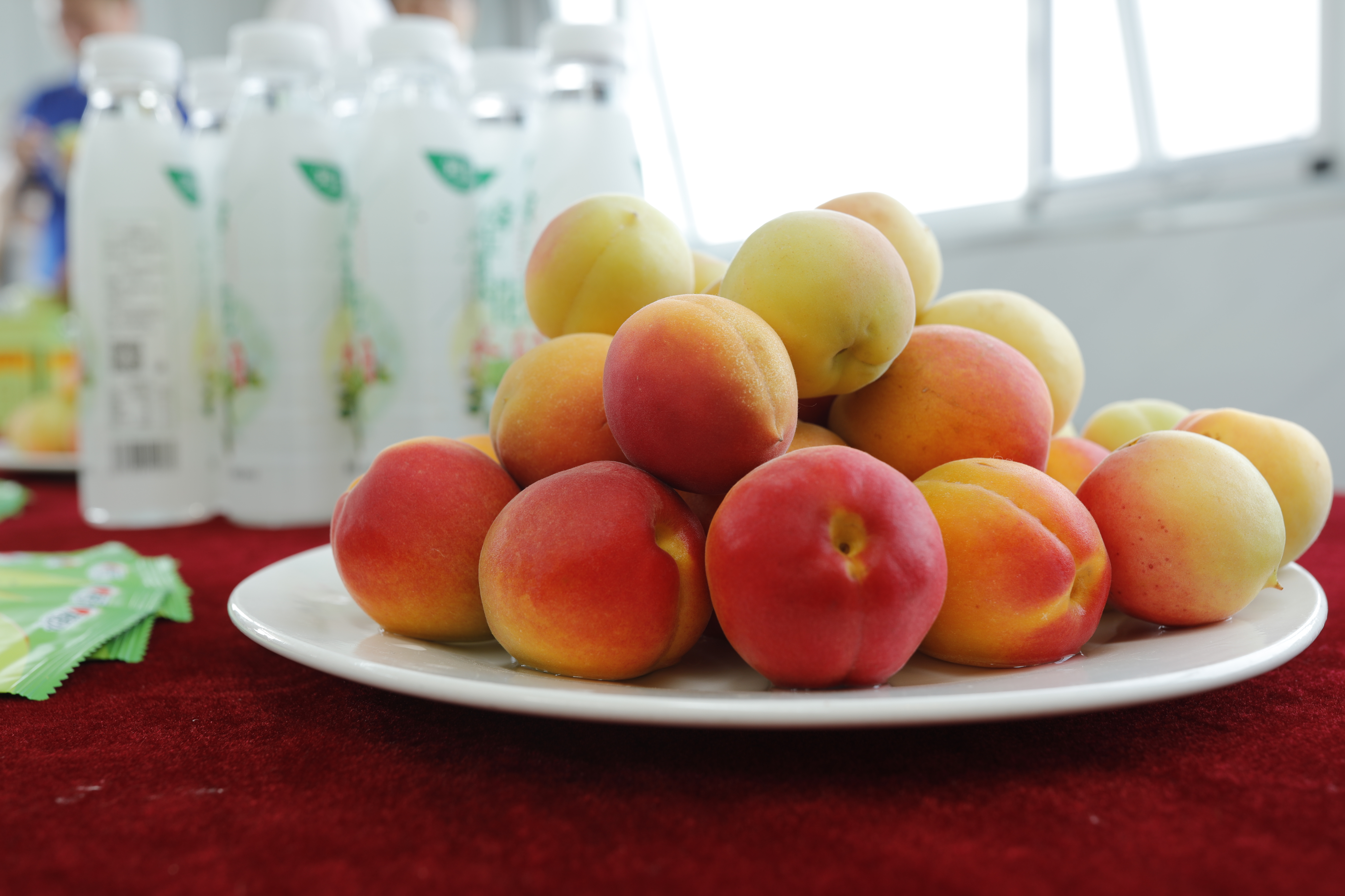 绾㈡潖涔嬩埂,涓浗绾㈡潖涔嬩埂