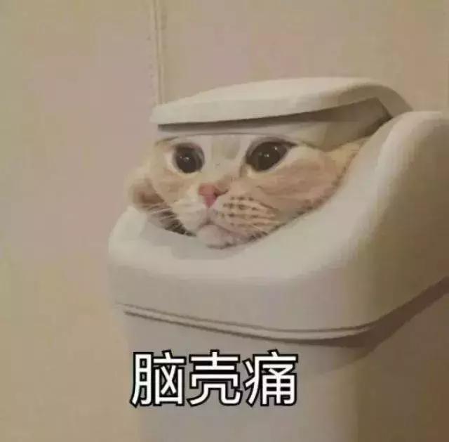 成都双流区天气14号,双流最近15天天气预报内容