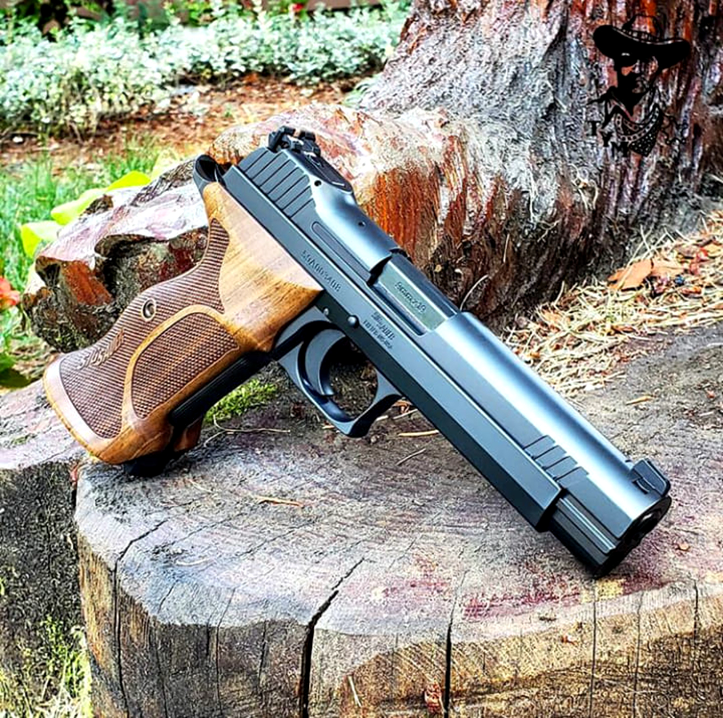 最受欢迎全球最佳的十支手枪,实用性最广的手枪