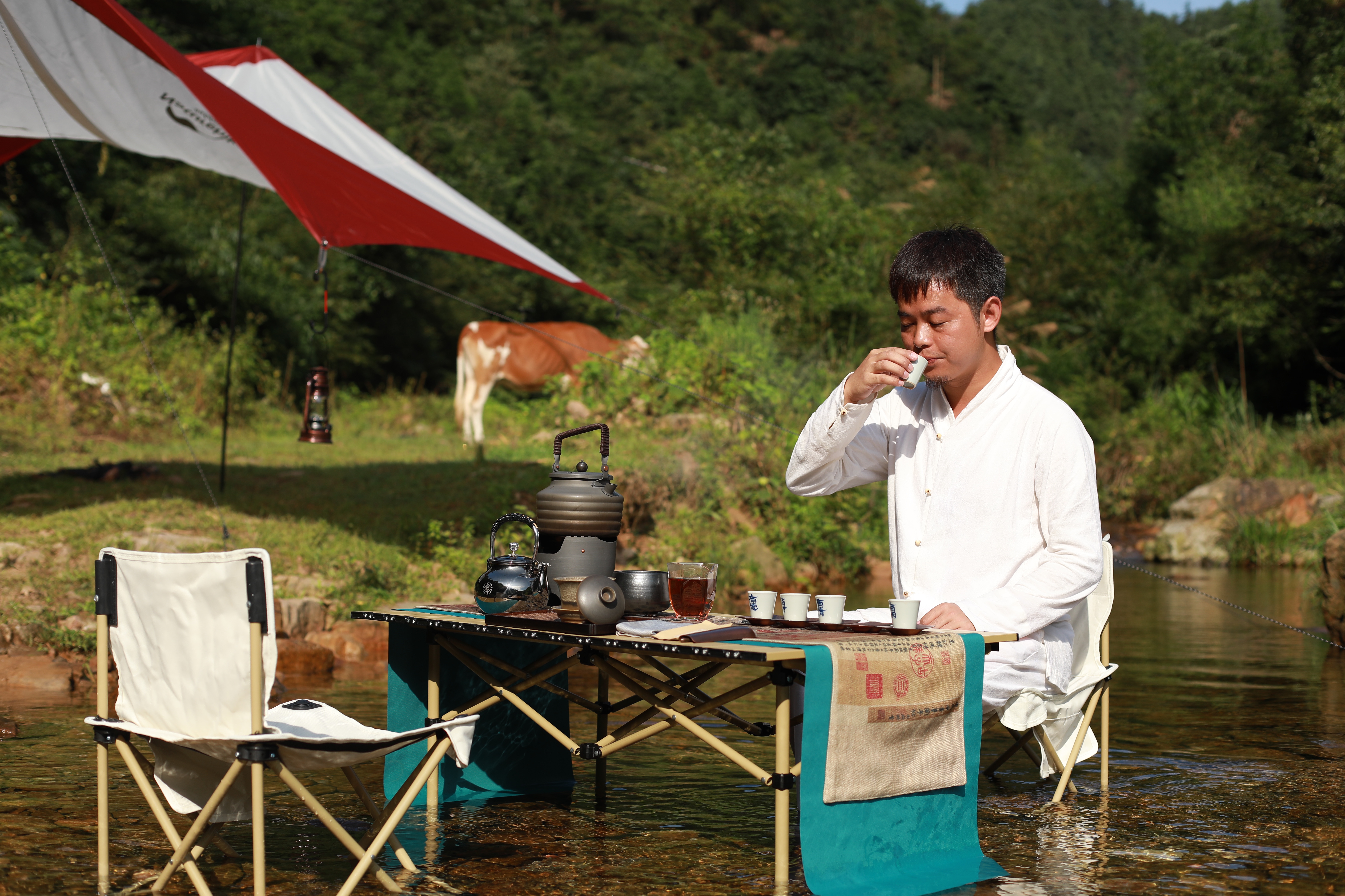 如何储存西湖龙井,如何储存好西湖龙井
