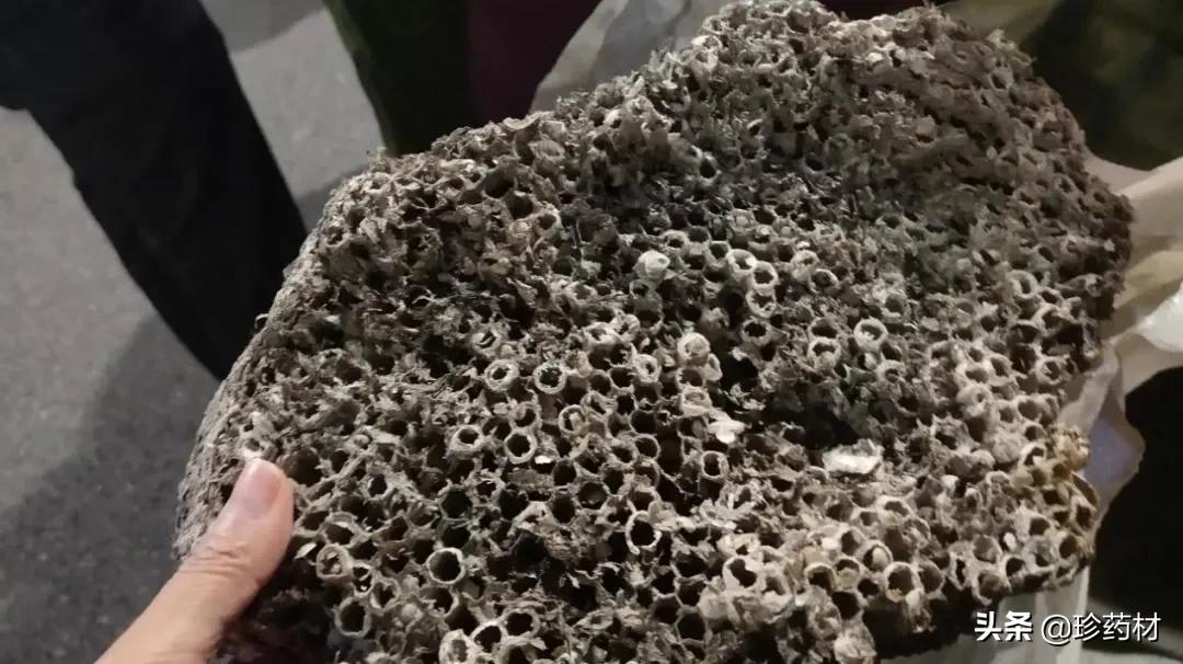 中药材市场快讯：鸡冠花、郁金、生地黄、八角茴香、荆芥穗等