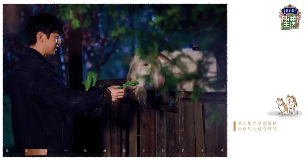 向往的生活1-6季文案,向往的生活一屋两人三餐四季文案