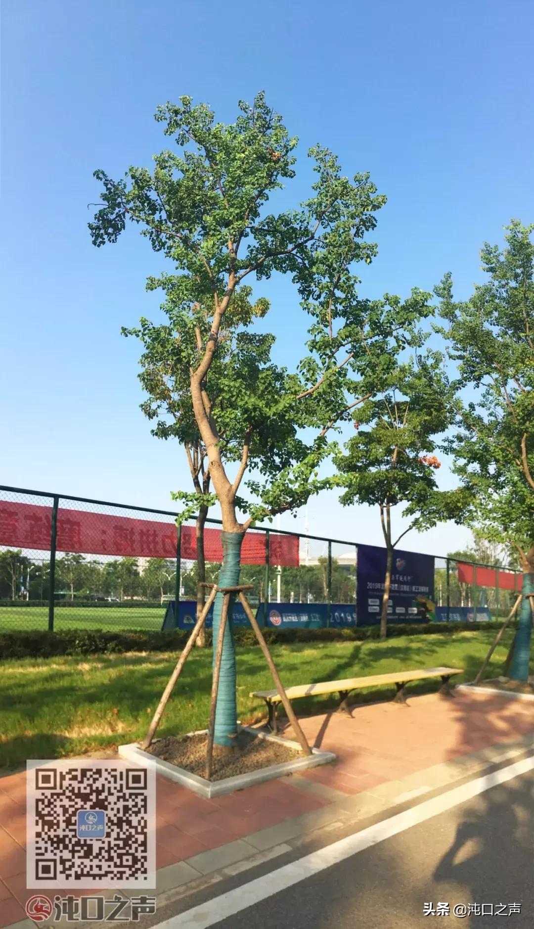 武汉足球公园分布图,中国最大的足球公园