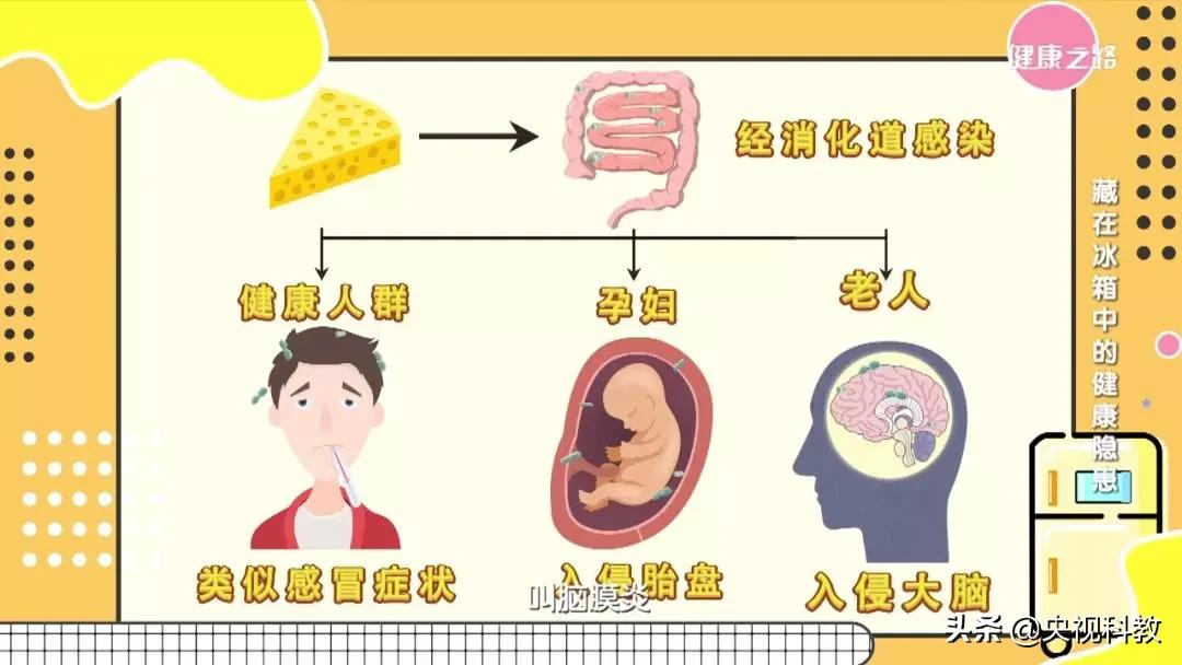 冰箱里有细菌对孕妇有影响吗,冰箱里的细菌会引起胎儿死亡吗