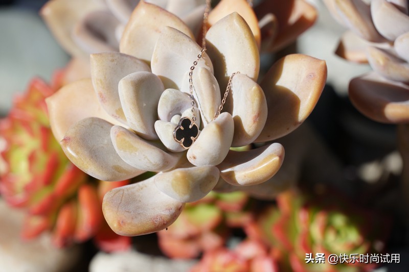 适合年轻人的小众首饰品牌,annasui项链品牌什么档次