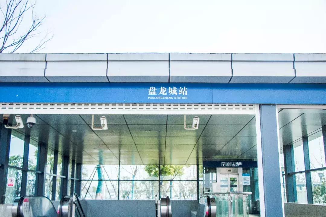 武汉盘龙城古城遗址,武汉盘龙城的起源