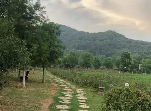 南京周边私藏的8个绝美乡村,南京避暑古村