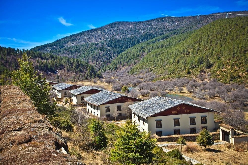 云南游记茶马古道,云南茶马古道游记