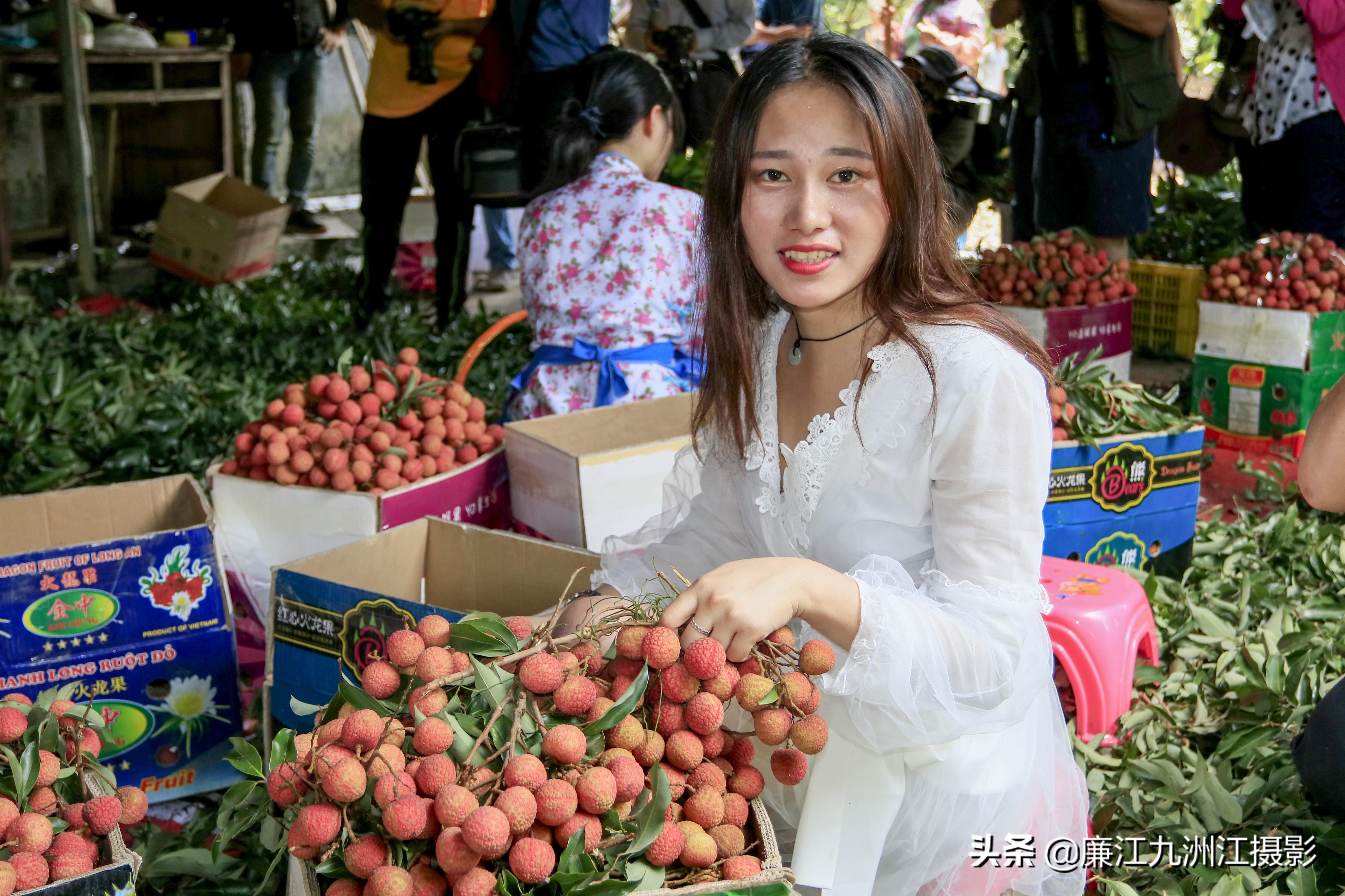 湛江市廉江荔枝节开幕式视频,廉江荔枝文化节