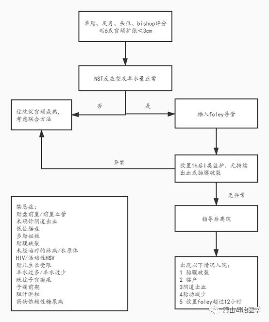 基于案例分析的循证护理临床实践,循证护理应用证据的具体环节