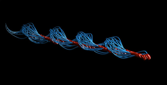 错了340年，精子潜水的方式并不是左右摆动尾巴