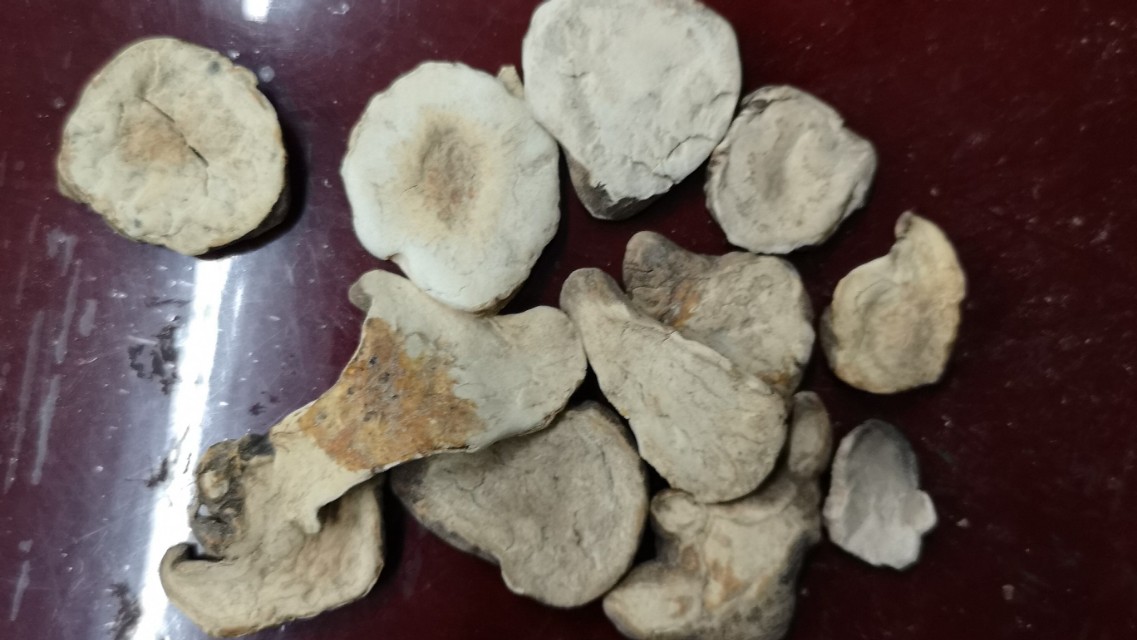 为什么火神派附子用量大,火神派药材