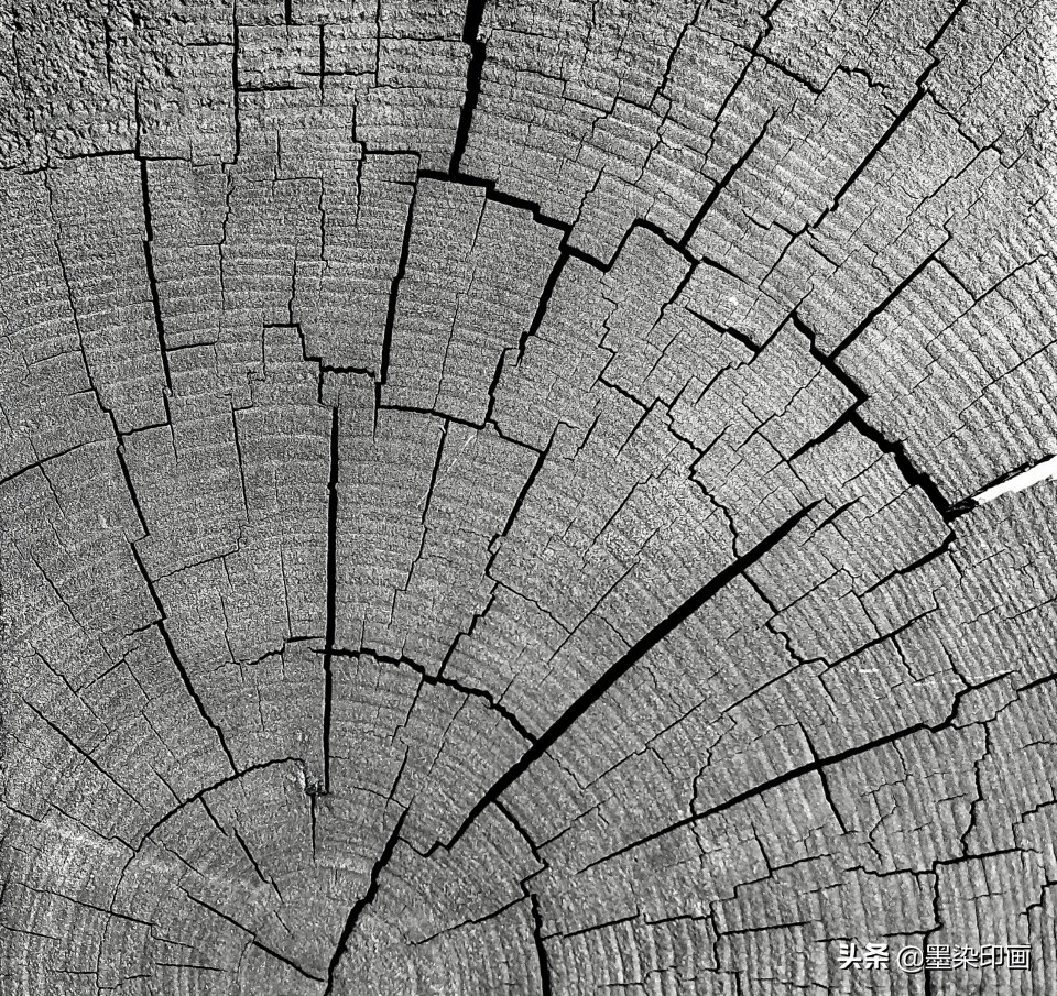 手机摄影拍出大片的感觉的方法,怎样拍出简单又高级的手机摄影