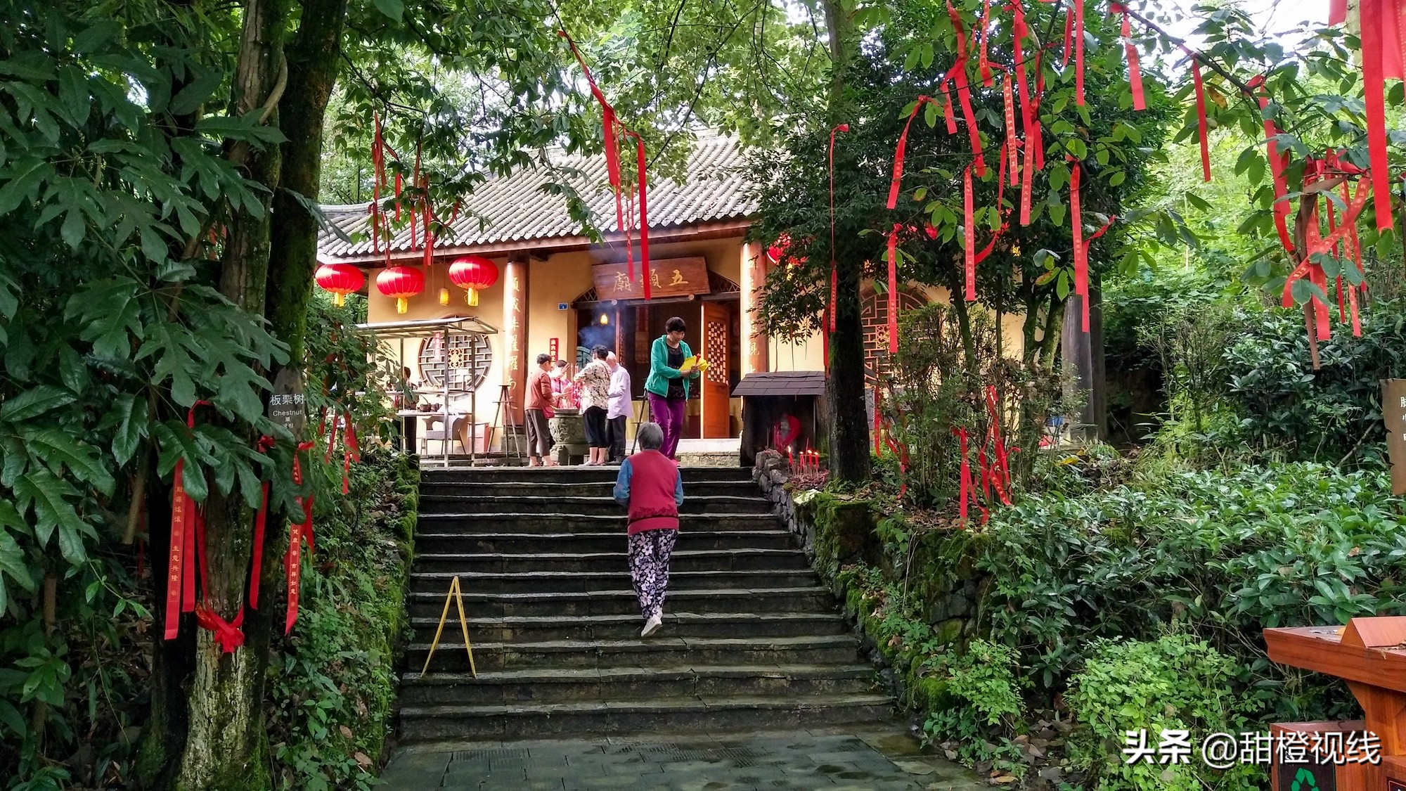 峨眉山七里坪周边旅游攻略,七里坪远看峨眉山金顶