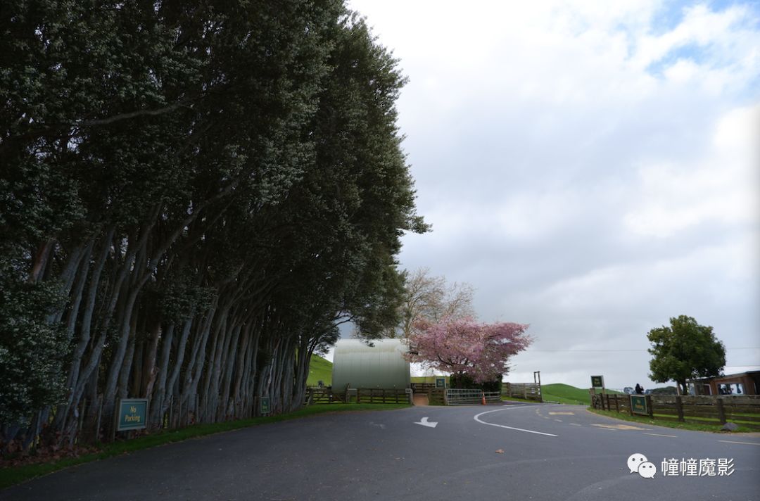 新西兰见闻录100,新西兰生活见闻