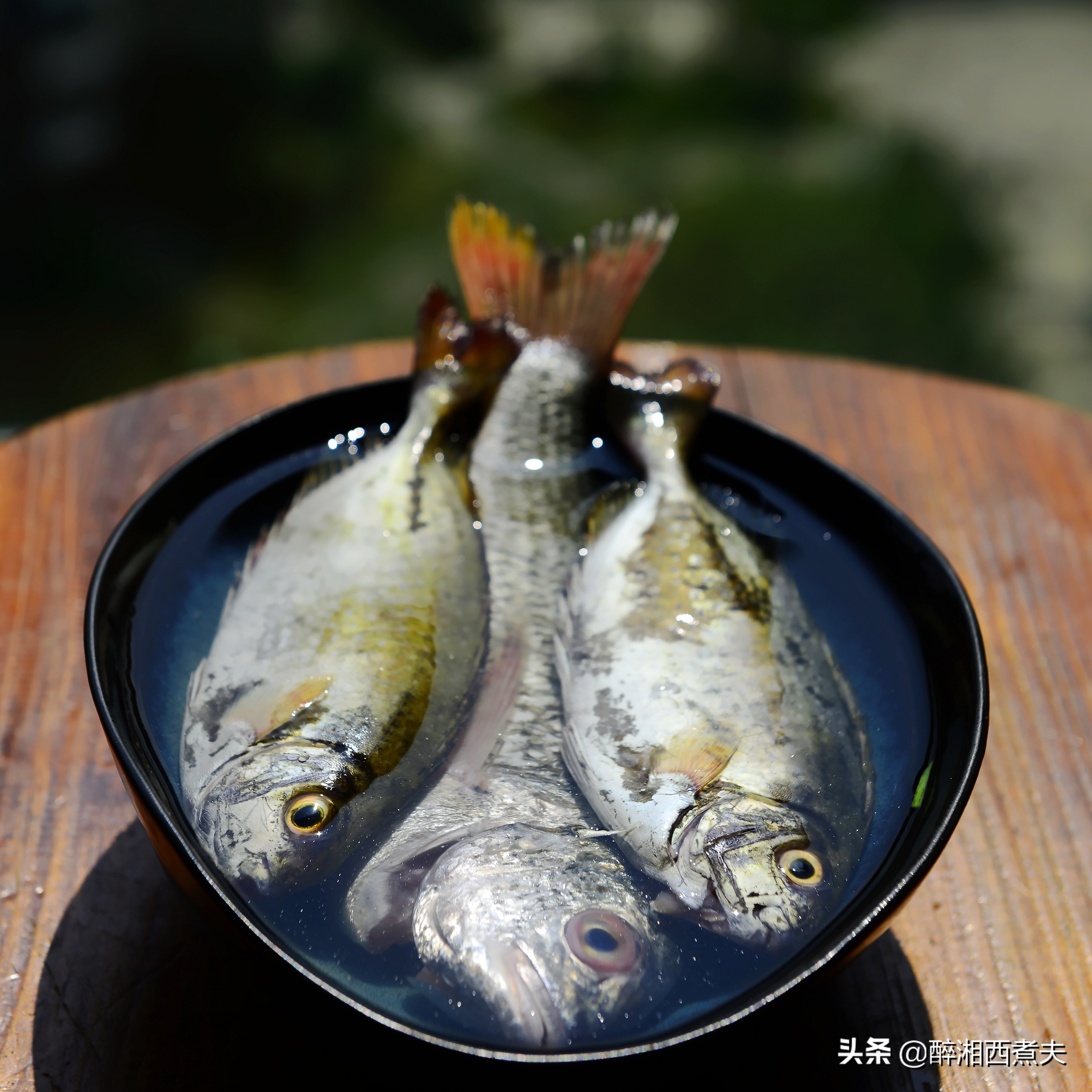 酱油水杂鱼最正宗做法,酸萝卜煮杂鱼