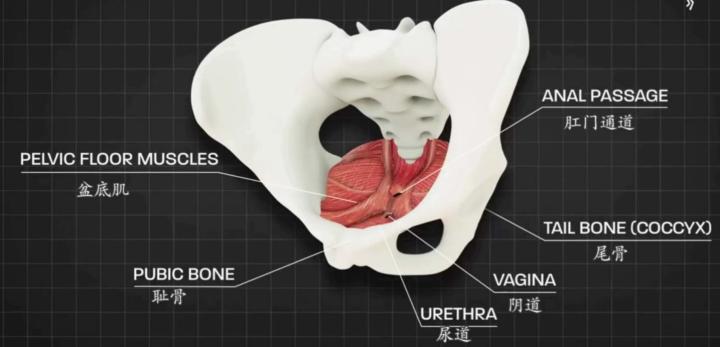 宫颈癌手术后右腿不适是什么原因,宫颈癌术后中危因素要放疗吗