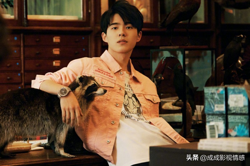 曾经没落男团现在怎么样了,曾经的偶像男团解散后命运怎么样