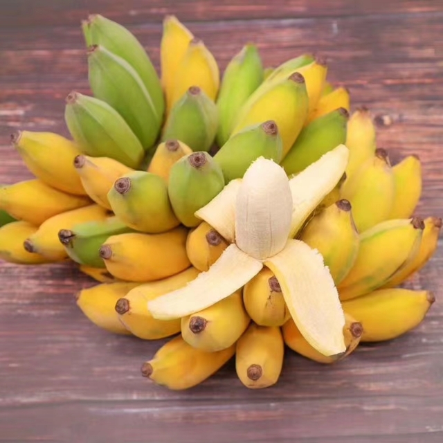 零食微商代理怎么做,微商零食代理好做吗