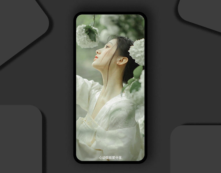 心动壁纸水墨巨兽掌心蜡烛超级跑车水杯小熊古风小姐姐小丑