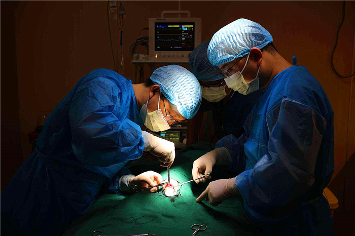 狗狗布氏杆菌病,狗狗感染布鲁氏杆菌有啥症状