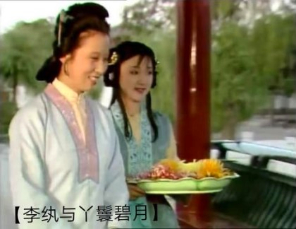 红楼梦群芳夜宴花语,红楼梦花语解读