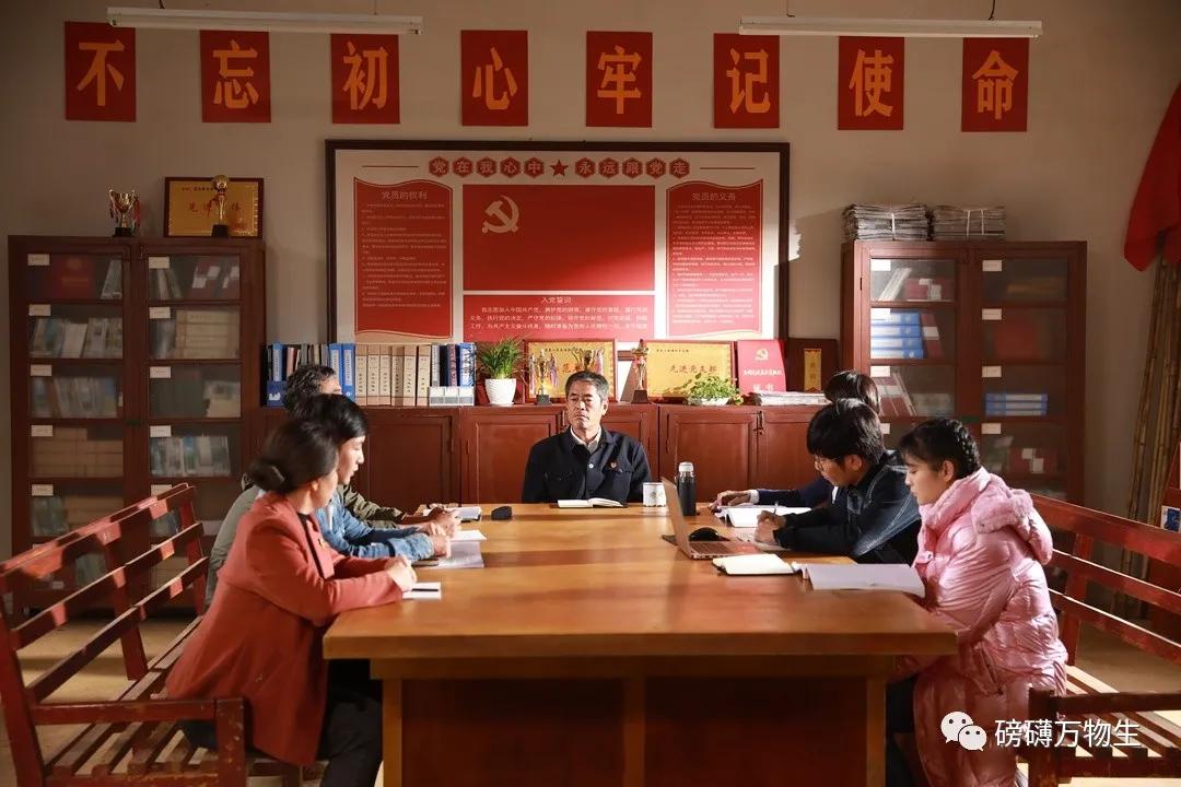 万物生电视剧拍摄,电视剧万物生在线播放