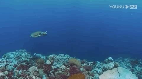 彭于晏我最需要的时候你在哪里,彭于晏我最需要他的时候他在哪里