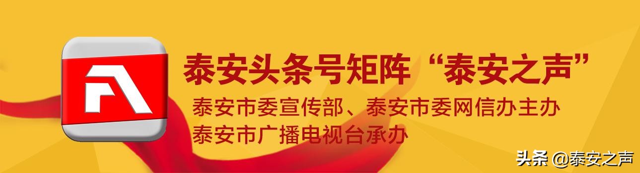 优才计划调任公务员,优才转业