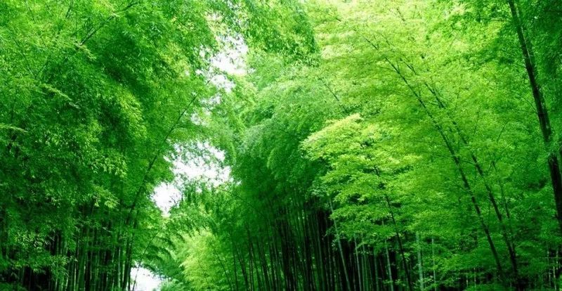 中国醉美云和梯田,中国醉美梯田景观