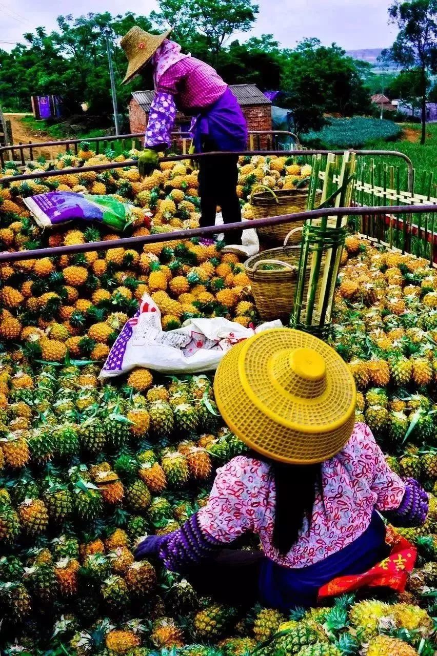 五一放假去哪里旅游比较好,五一小长假去哪里玩比较好一点