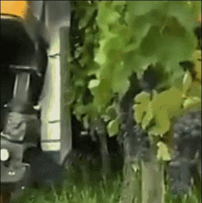 认真是一种可怕的力量,德国严谨的态度