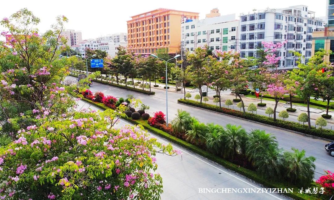 乐东九所海边康养基地,海南乐东九所景和家园