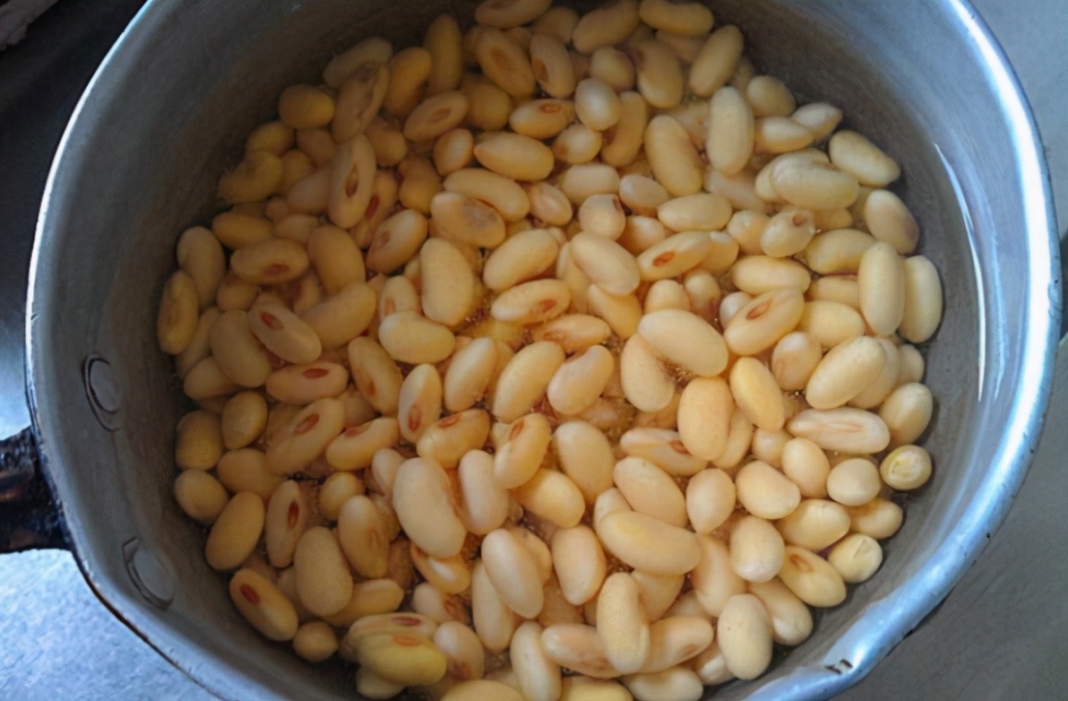 养花小技巧肥料配方表大全,巧施花肥你也能成为养花高手