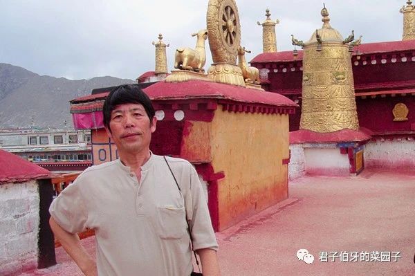 西藏之行布达拉宫,西行散记布达拉宫