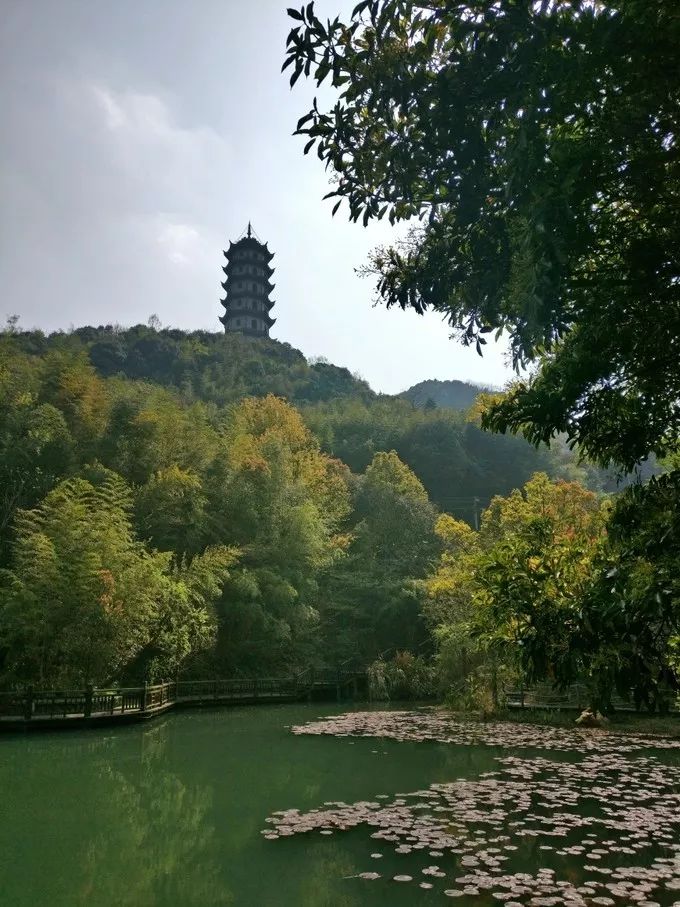 上海去桃花岛的自驾轮渡时间表,上海开车去舟山桃花岛怎么去