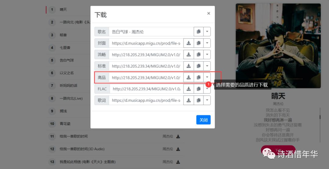 vip音乐免费下,vip免费音乐解析下载