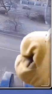 宅家无聊自娱自乐想跳就跳就好,宅家无聊自娱自乐开心一刻