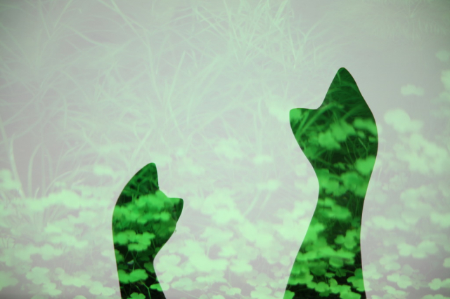 灏煎悍澶氶噸鏇濆厜鏁欑▼,浣宠兘澶氶噸鏇濆厜鏁欑▼