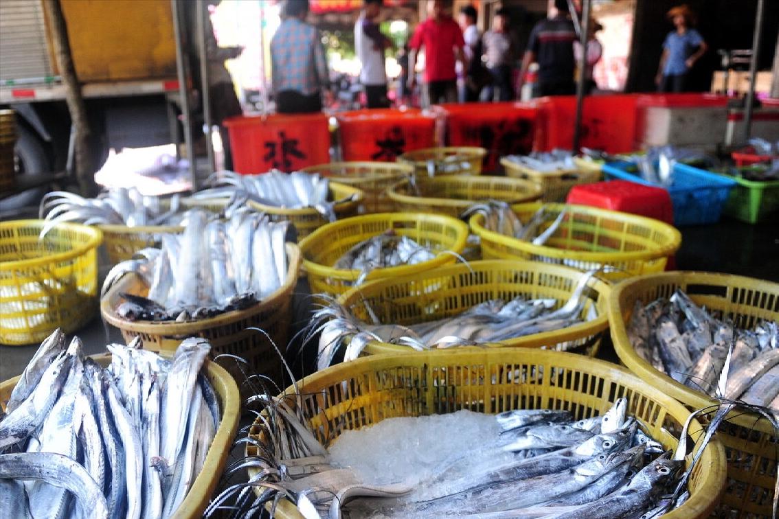 中国哪里的带鱼最好吃评测,全国哪里的带鱼最好吃