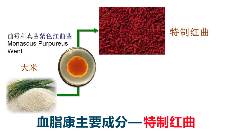 红曲中提取的“血脂康”降胆固醇，吃点儿天然红曲行不行？